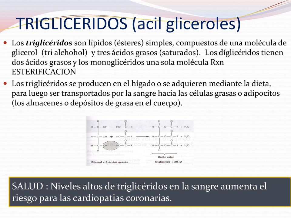 Los díglicéridos tienen dos ácidos grasos y los monoglicéridos una sola molécula Rxn ESTERIFICACION Los triglicéridos se producen en el hígado o