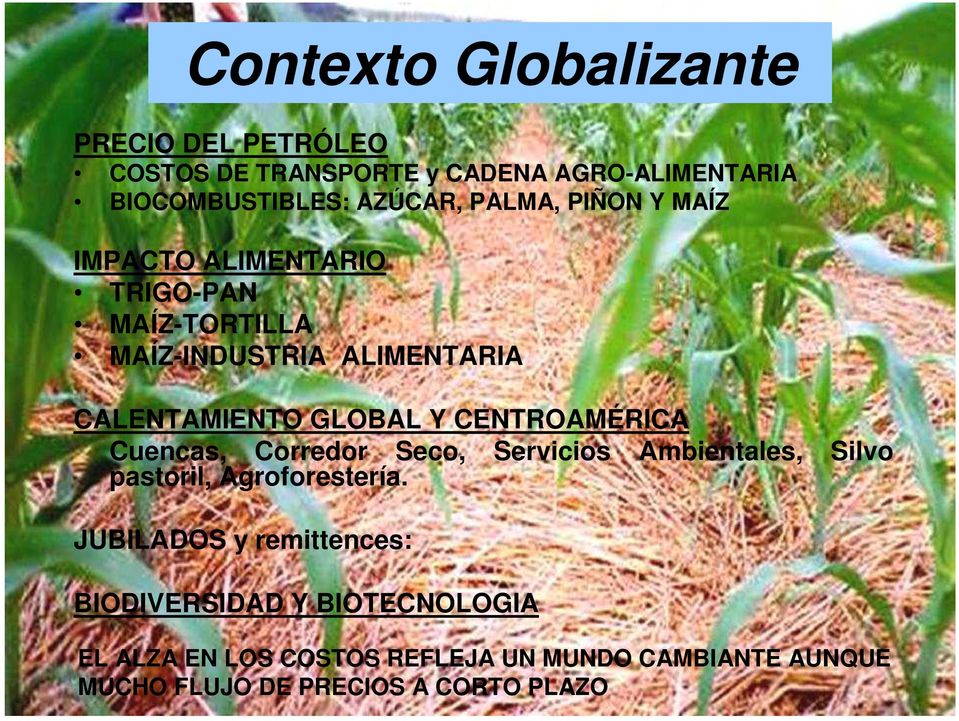 CENTROAMÉRICA Cuencas, Corredor Seco, Servicios Ambientales, Silvo pastoril, Agroforestería.