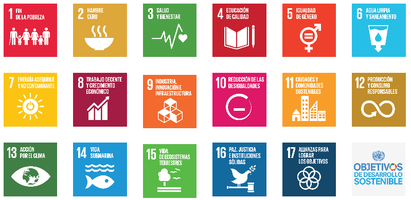 Objetivos de Desarrollo Sostenible 17