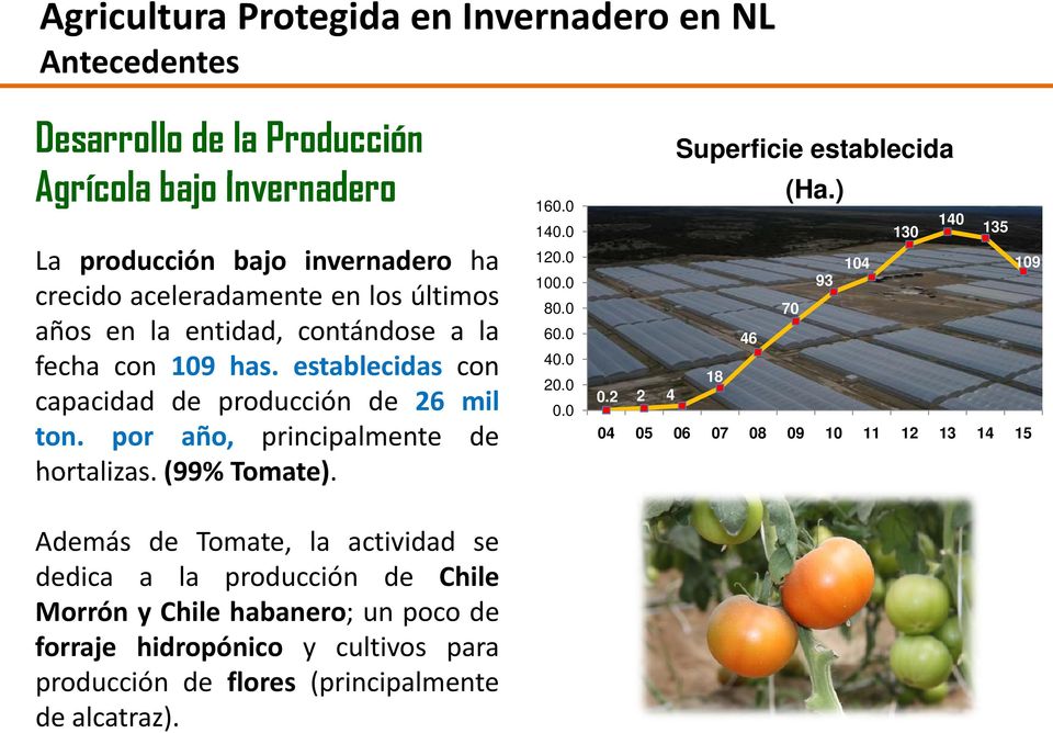 2 2 4 capacidad de producción de 26 mil 0.0 ton. por año, principalmente de hortalizas. (99% Tomate).