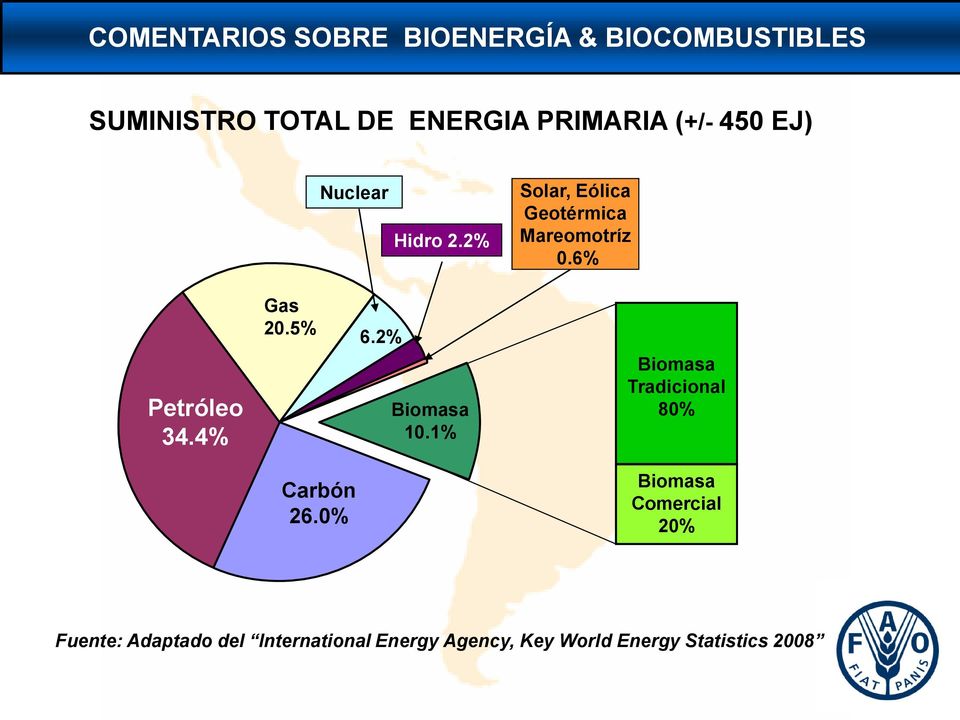 4% Gas 20.5% 6.2% Biomasa 10.1% Biomasa Tradicional 80% Carbón 26.