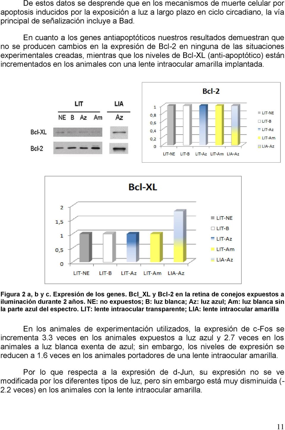 de Bcl-XL (anti-apoptótico) están incrementados en los animales con una lente intraocular amarilla implantada. Figura 2 a, b y c. Expresión de los genes.