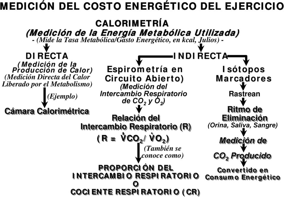 Respiratorio de CO 2 y O 2 ) Cámara Calorimétrica Relación n del Intercambio Respiratorio (R).