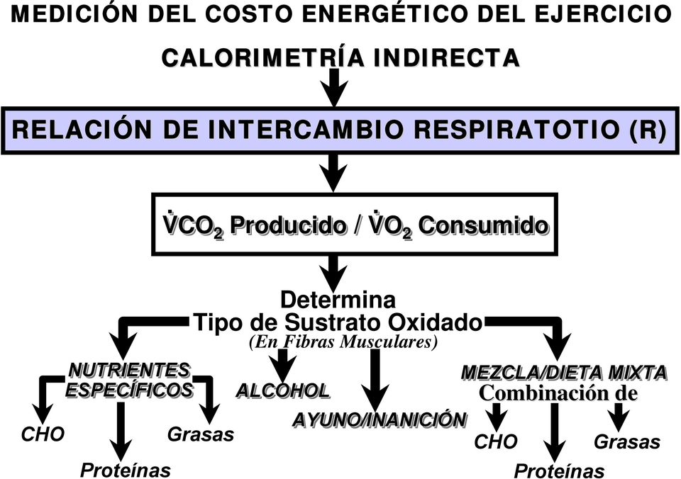 . VCO 2 Producido / VO 2 Consumido CHO NUTRIENTES ESPECÍFICOS Proteínas Determina