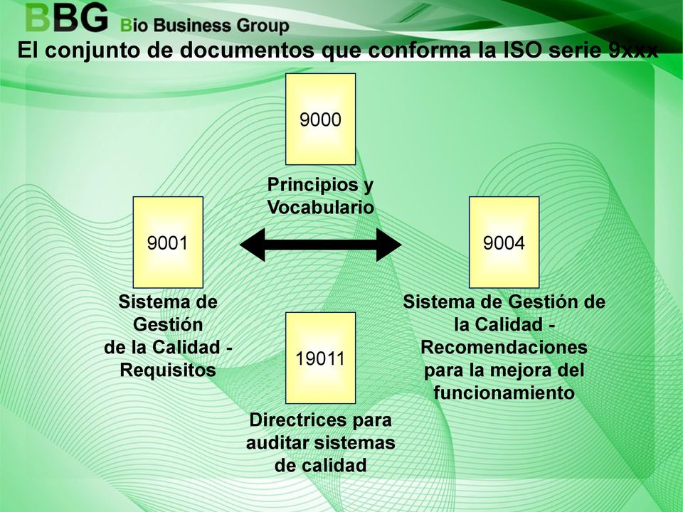 Requisitos 19011 Directrices para auditar sistemas de calidad Sistema
