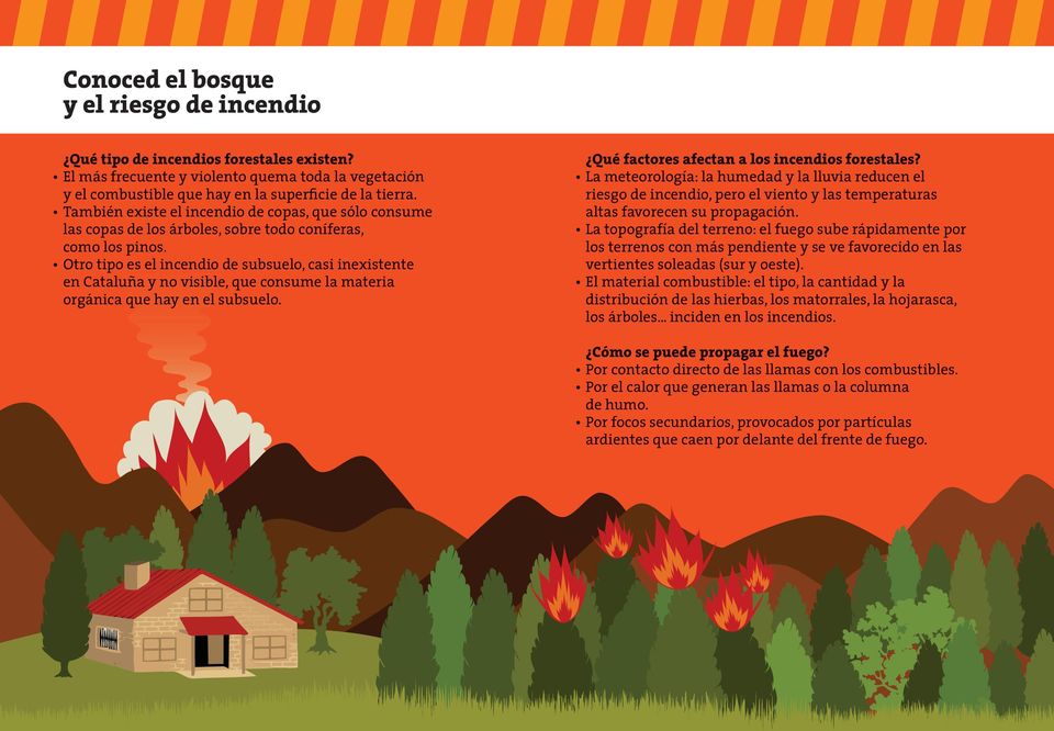 Otro tipo es el incendio de subsuelo, casi inexistente en Cataluña y no visible, que consume la materia orgánica que hay en el subsuelo. Qué factores afectan a los incendios forestales?