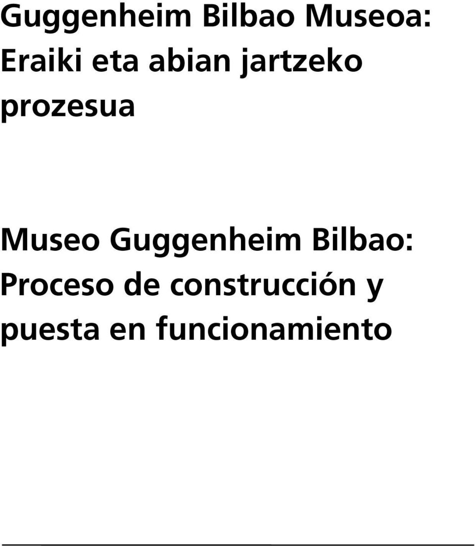 Guggenheim Bilbao: Proceso de
