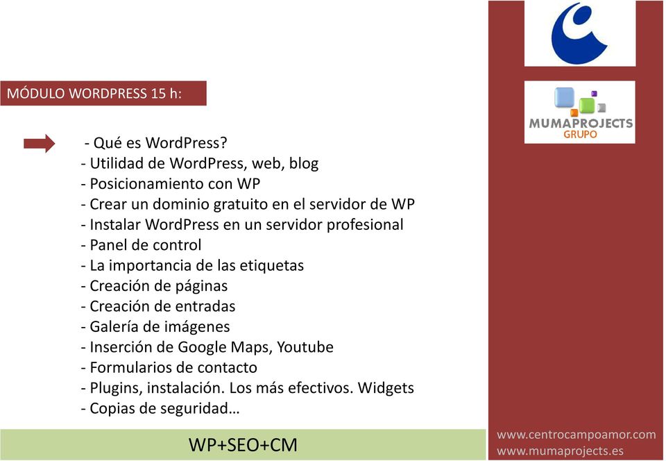 Instalar WordPress en un servidor profesional -Panel de control - La importancia de las etiquetas - Creación de