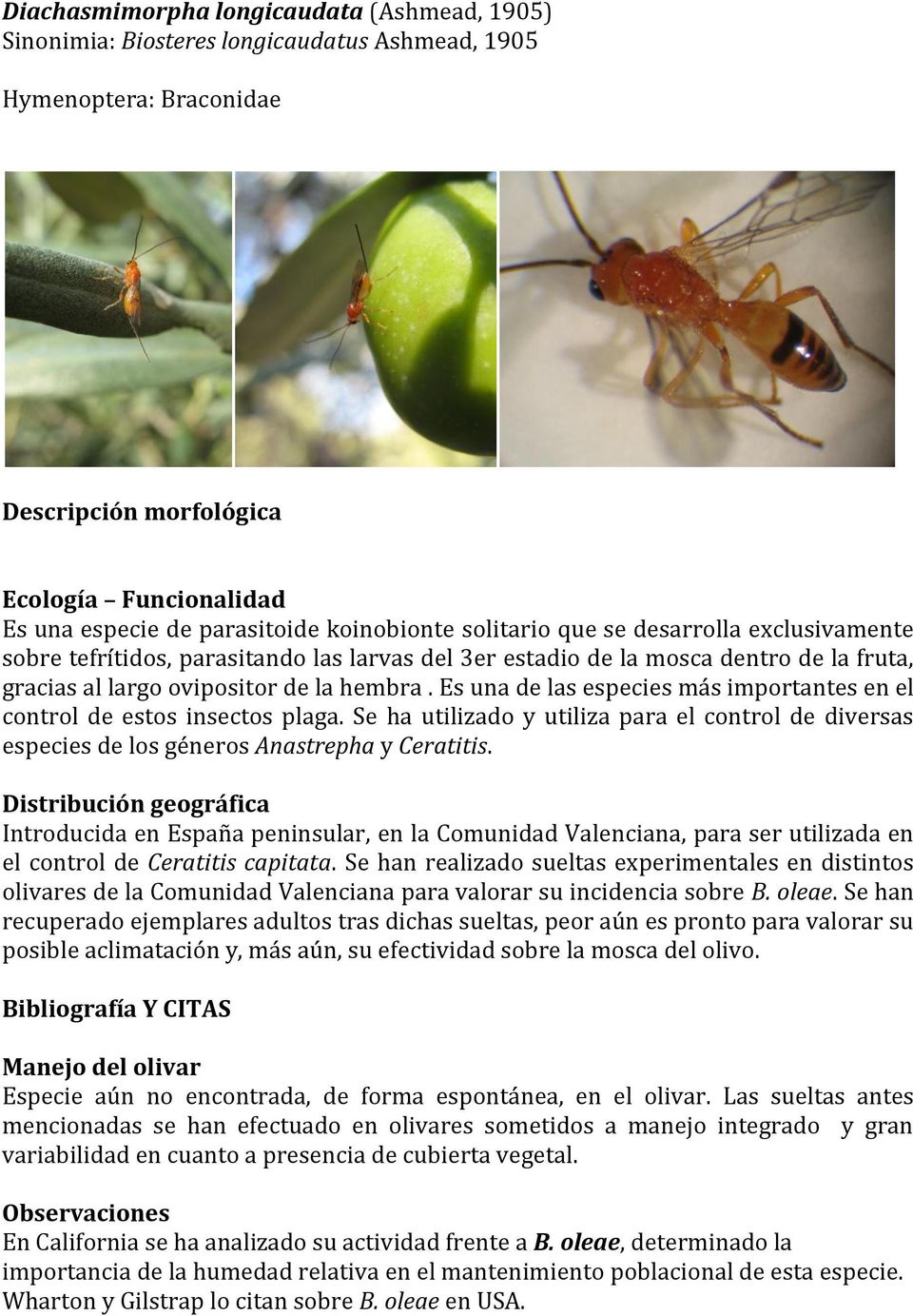 Es una de las especies más importantes en el control de estos insectos plaga. Se ha utilizado y utiliza para el control de diversas especies de los géneros Anastrepha y Ceratitis.