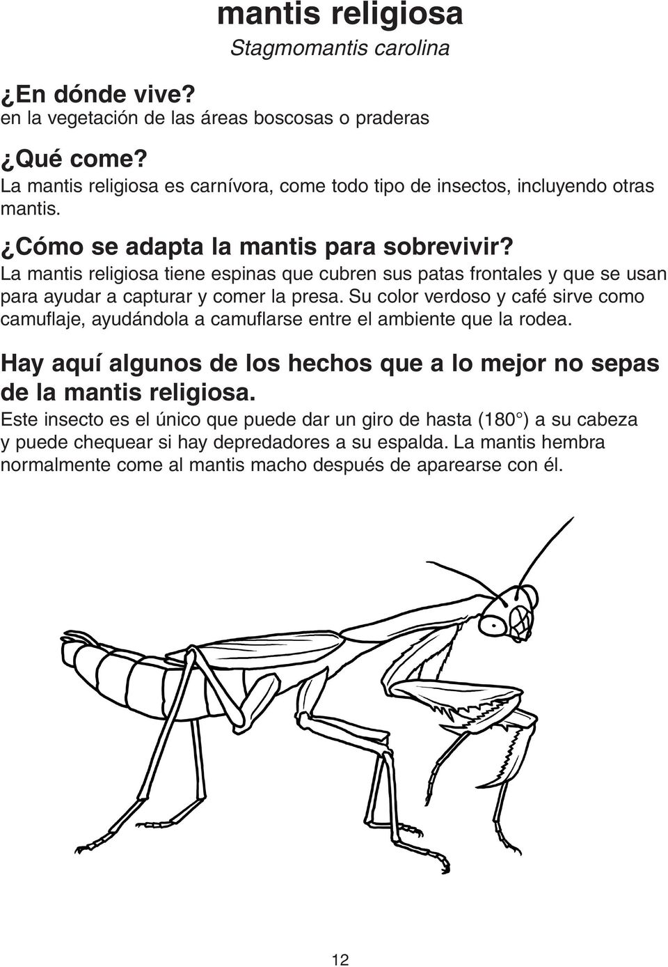 La mantis religiosa tiene espinas que cubren sus patas frontales y que se usan para ayudar a capturar y comer la presa.