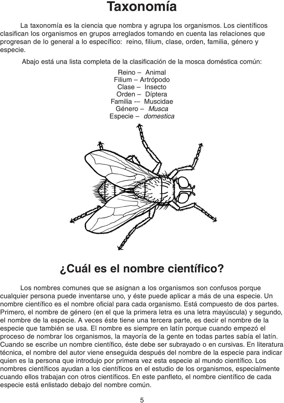 Abajo está una lista completa de la clasificación de la mosca doméstica común: Reino Animal Filium Artrópodo Clase Insecto Orden Díptera Familia - Muscidae Género Musca Especie domestica Cuál es el