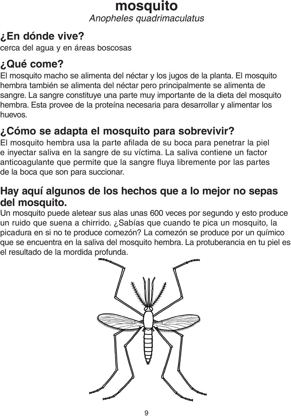 Esta provee de la proteína necesaria para desarrollar y alimentar los huevos. Cómo se adapta el mosquito para sobrevivir?