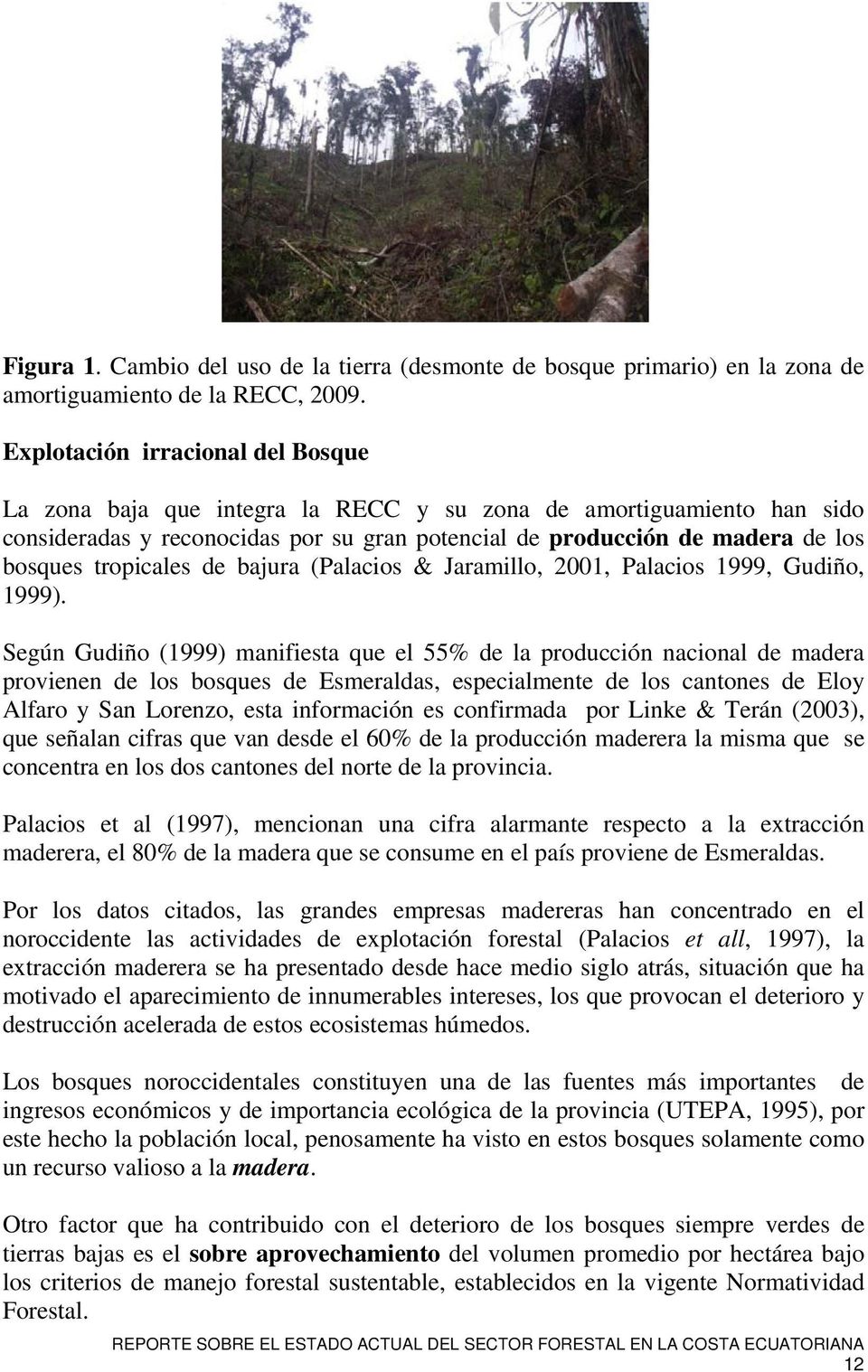tropicales de bajura (Palacios & Jaramillo, 2001, Palacios 1999, Gudiño, 1999).