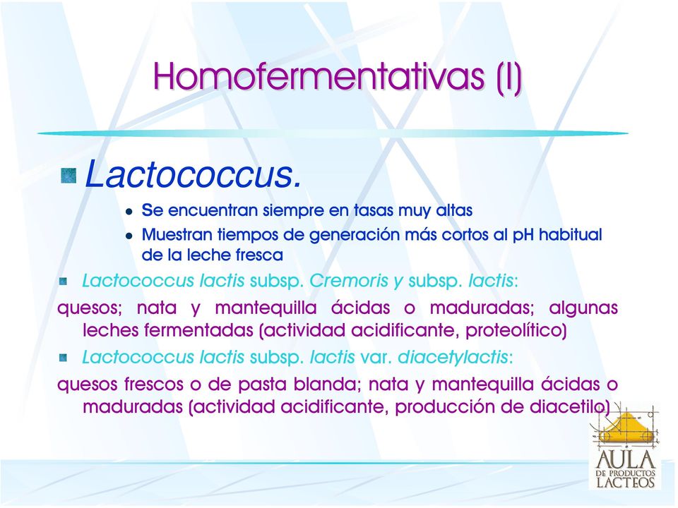 Lactococcus lactis subsp. Cremoris y subsp.