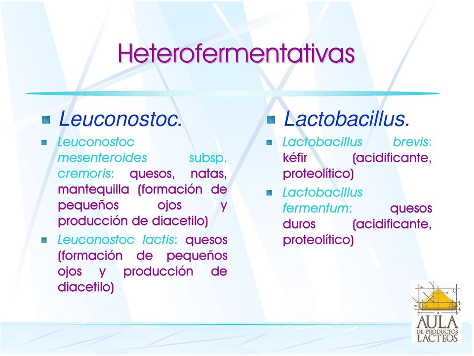 Leuconostoc lactis: quesos (formación de pequeños ojos y producción de diacetilo)