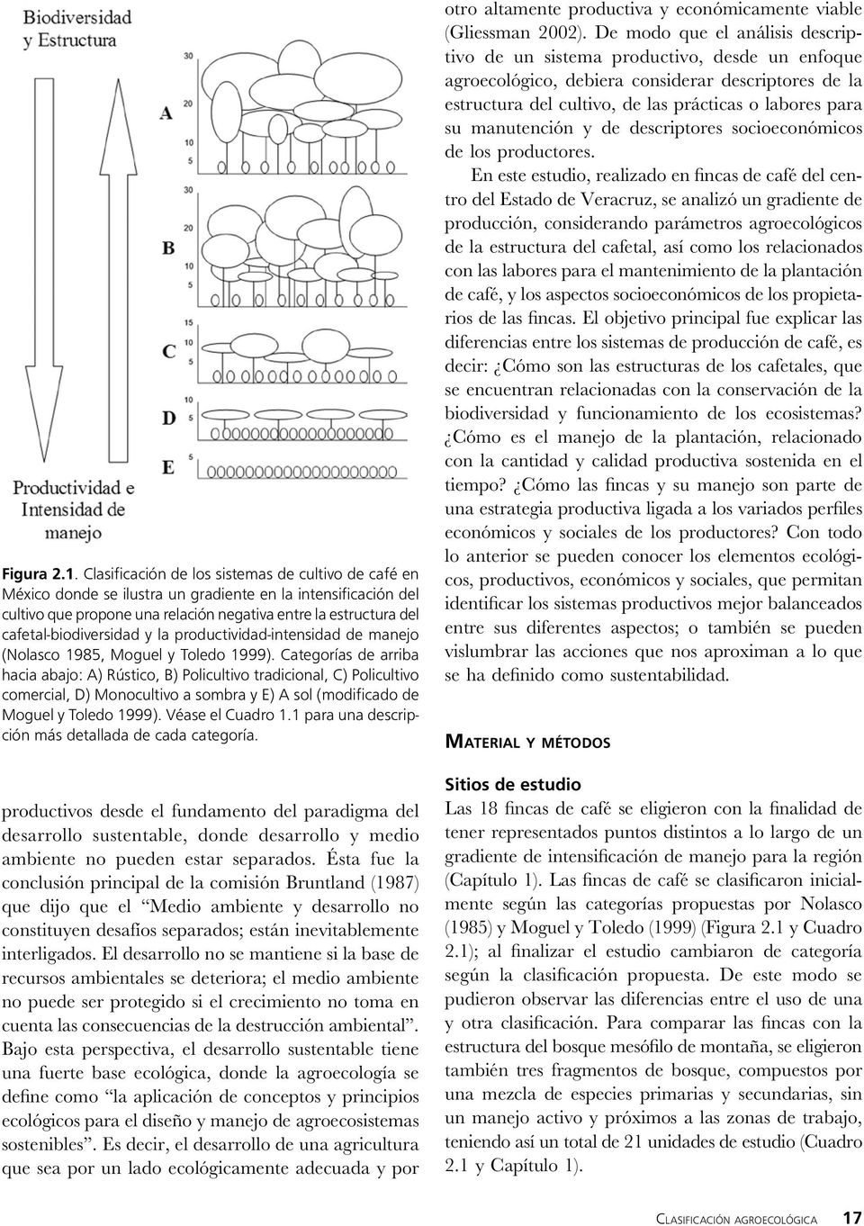 cafetal-biodiversidad y la productividad-intensidad de manejo (Nolasco 1985, Moguel y Toledo 1999).