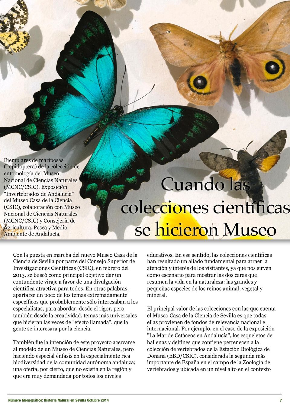 Exposición "Invertebrados de Andalucía" del Museo Casa de la Ciencia (CSIC), colaboración con Museo Nacional de Ciencias Naturales (MCNC/CSIC) y Consejería de Agricultura, Pesca y Medio Ambiente de
