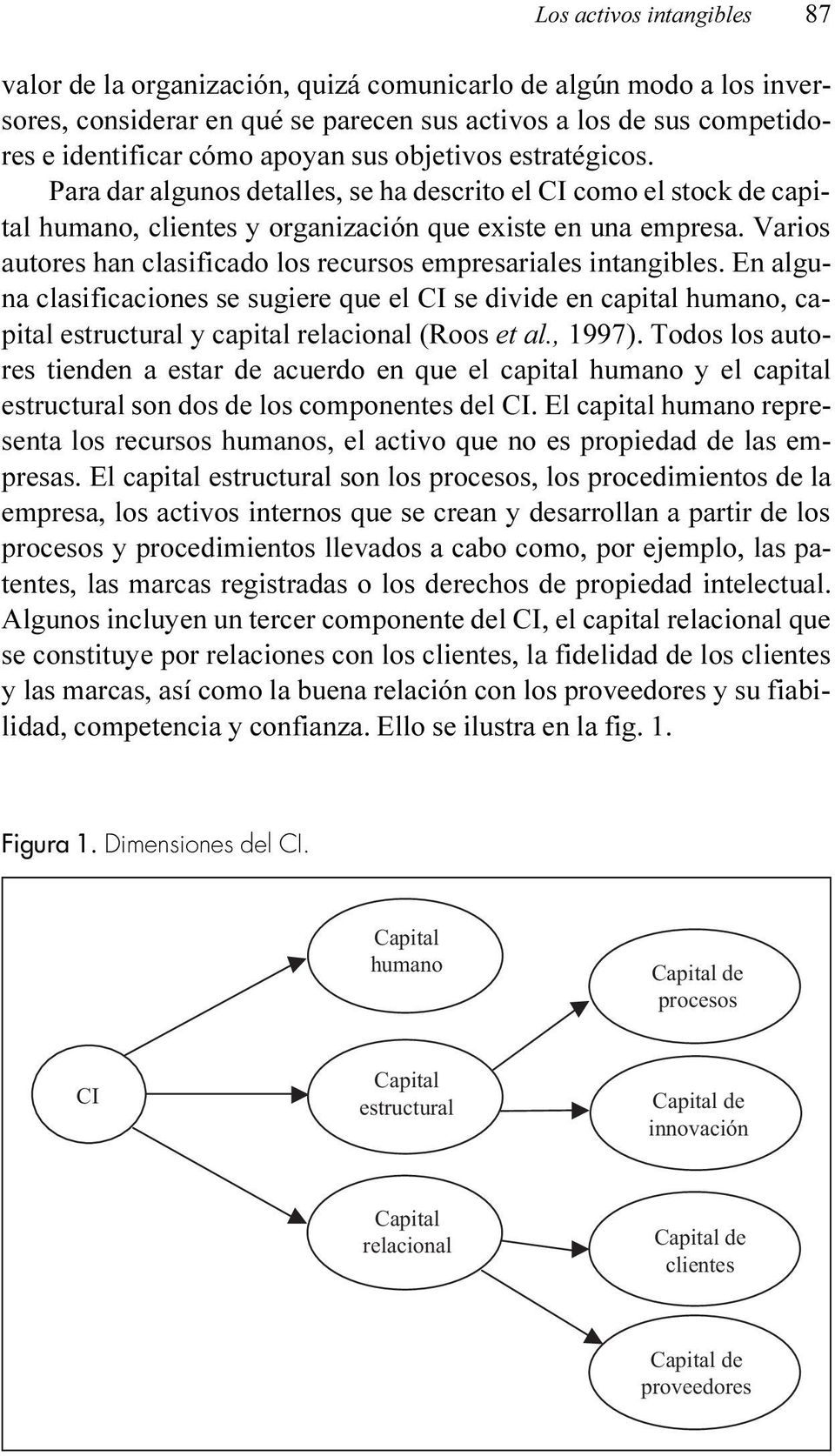 Varios autores han clasificado los recursos empresariales intangibles. En alguna clasificaciones se sugiere que el CI se divide en capital humano, capital estructural y capital relacional (Roos et al.