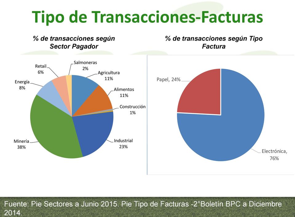 Tipo de Transacciones-Facturas % de transacciones según Sector Pagador % de