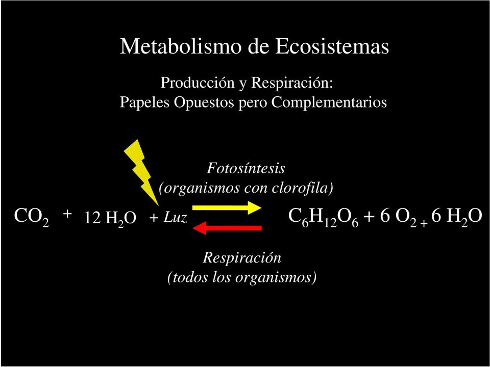 + Luz Fotosíntesis (organismos con clorofila) C 6 H 12