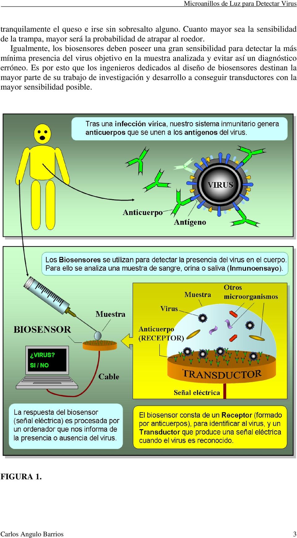 Igualmente, los biosensores deben poseer una gran sensibilidad para detectar la más mínima presencia del virus objetivo en la muestra