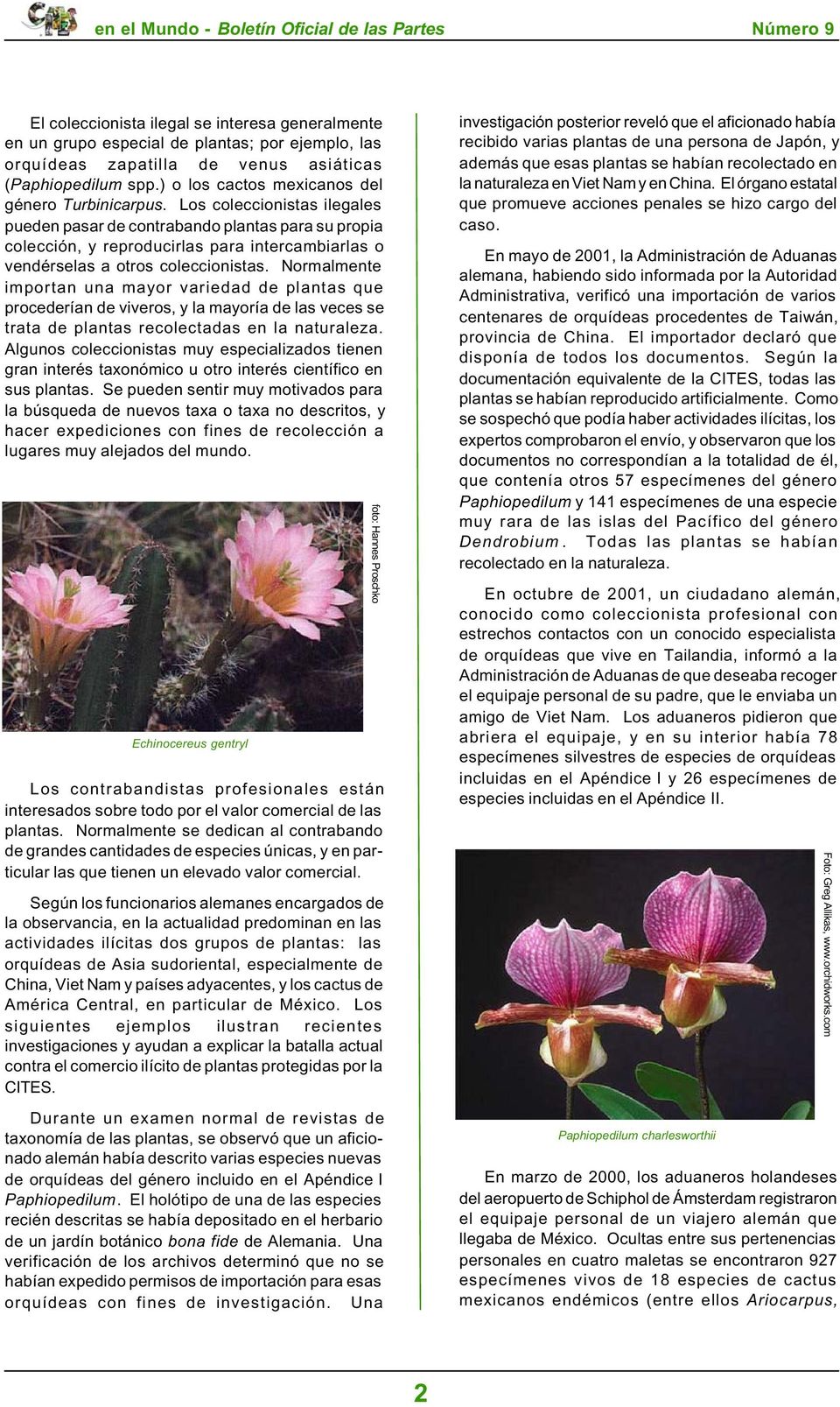 (Paphiopedilum spp.) o los cactos mexicanos del género Turbinicarpus.