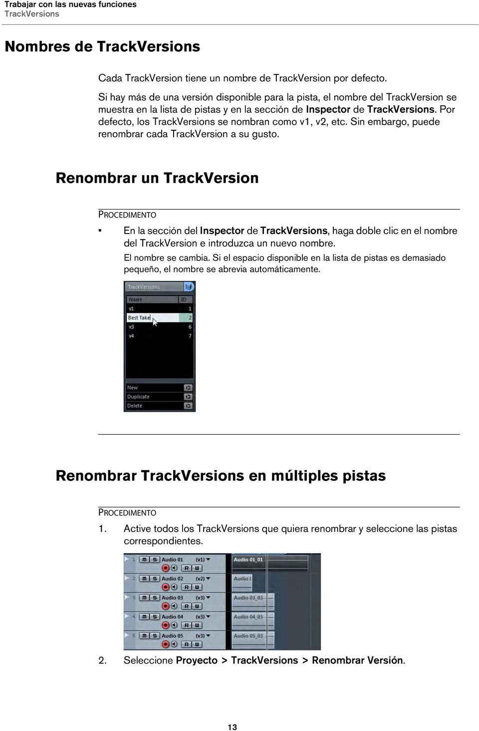 Por defecto, los TrackVersions se nombran como v1, v2, etc. Sin embargo, puede renombrar cada TrackVersion a su gusto.