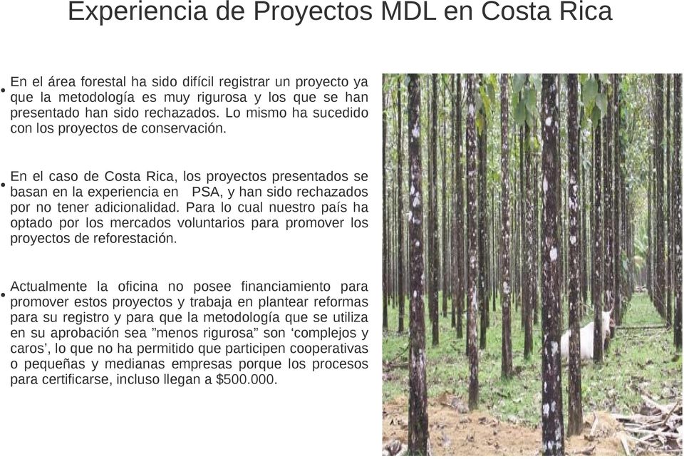Para lo cual nuestro país ha optado por los mercados voluntarios para promover los proyectos de reforestación.