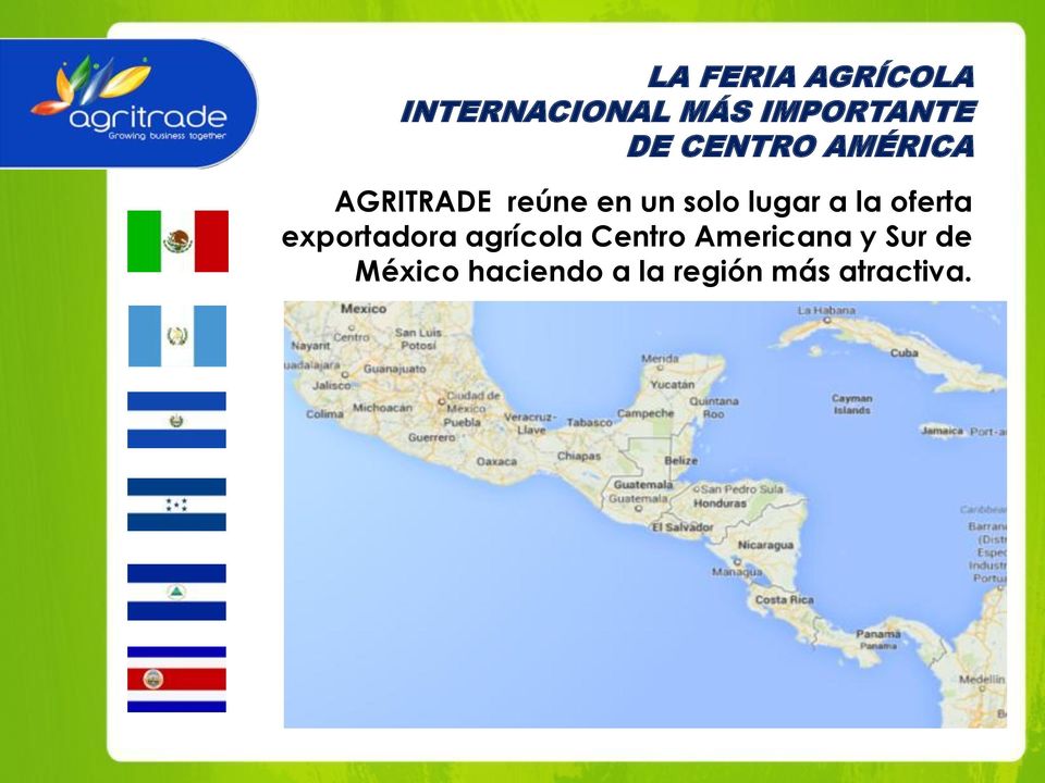 la oferta exportadora agrícola Centro Americana y