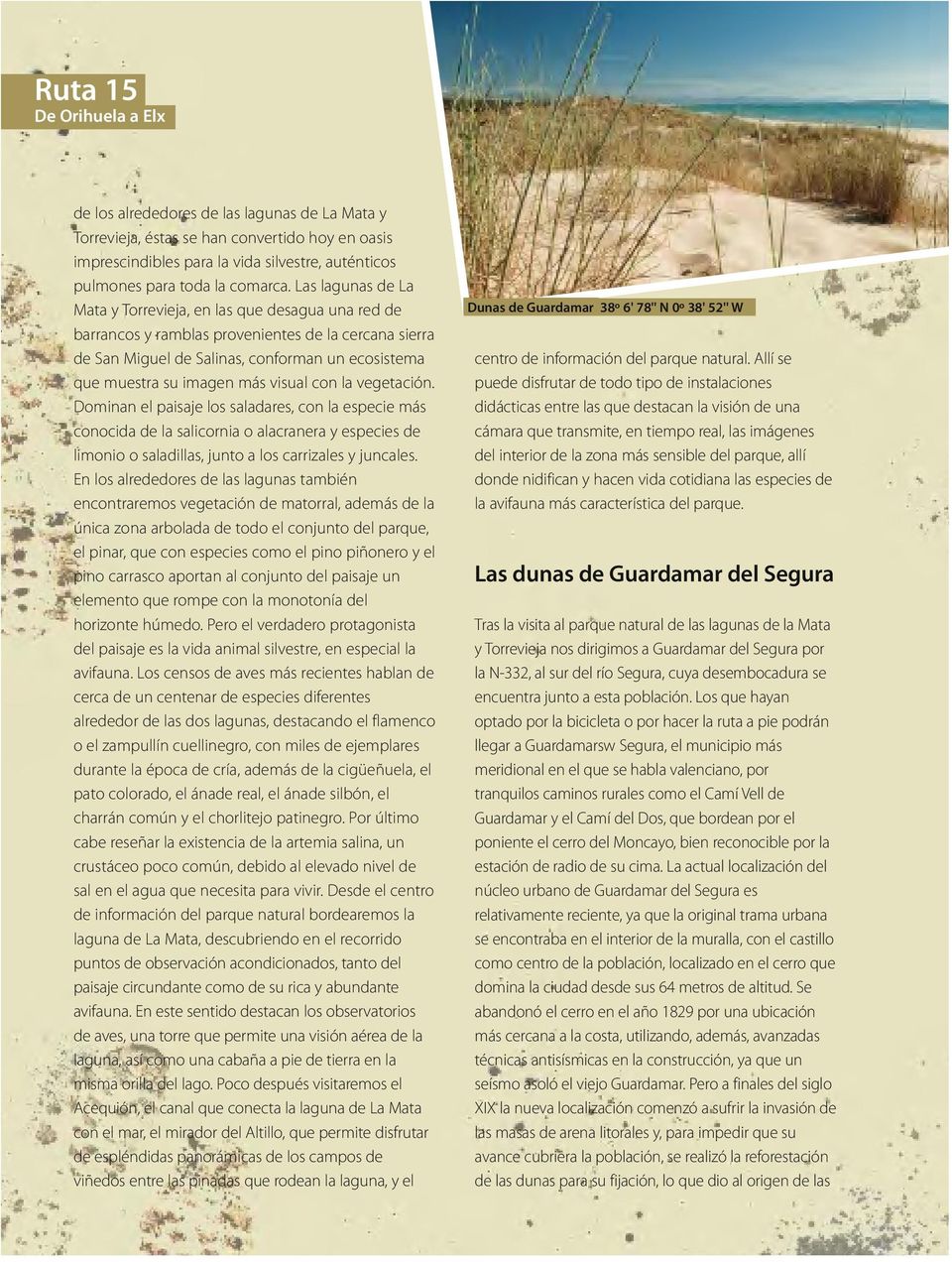 Las lagunas de La Mata y Torrevieja, en las que desagua una red de barrancos y ramblas provenientes de la cercana sierra de San Miguel de Salinas, conforman un ecosistema que muestra su imagen más