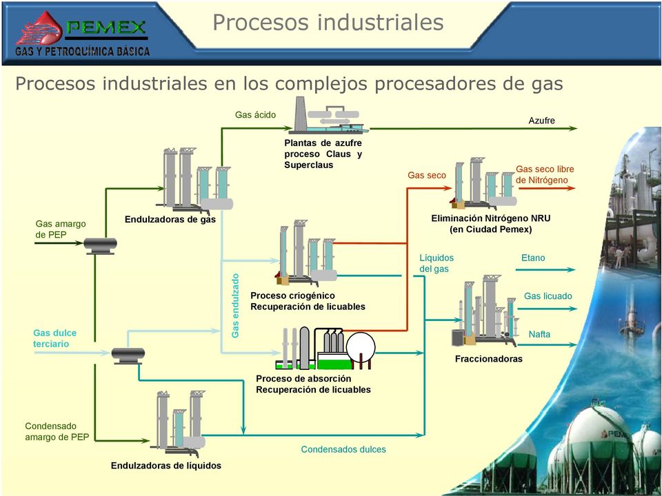 Líquidos del gas Etano Gas dulce terciario Gas endulzado Proceso criogénico Recuperación de licuables Gas licuado Nafta