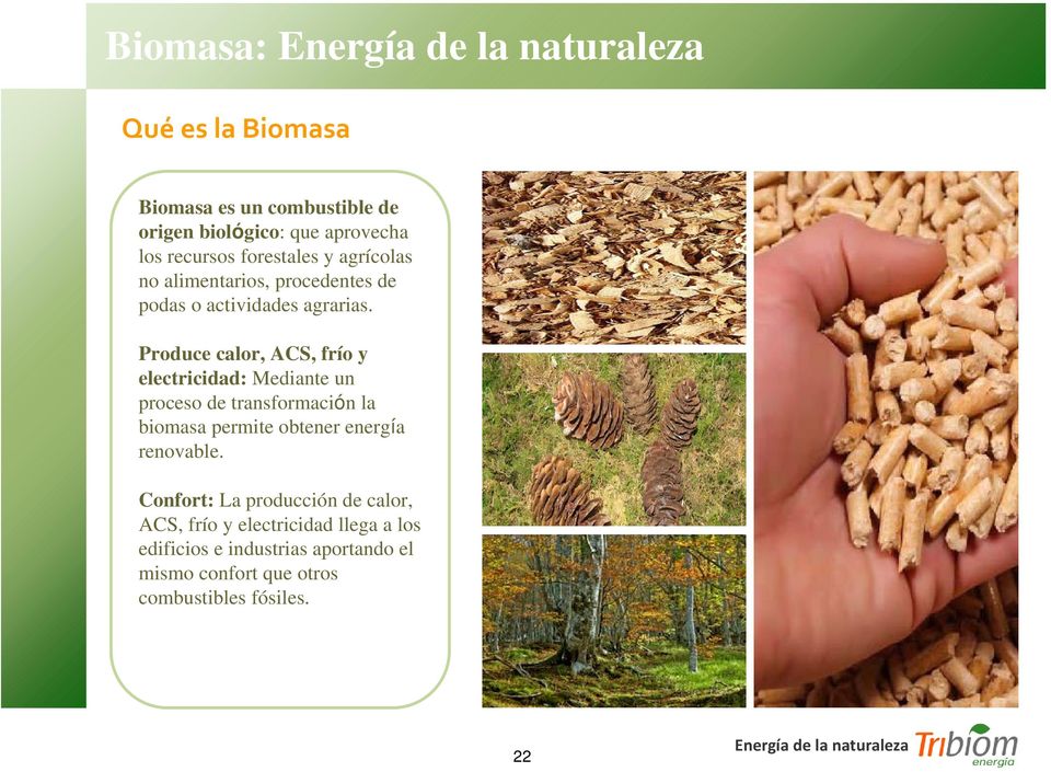 Produce calor, ACS, frío y electricidad: Mediante un proceso de transformación la biomasa permite obtener energía renovable.