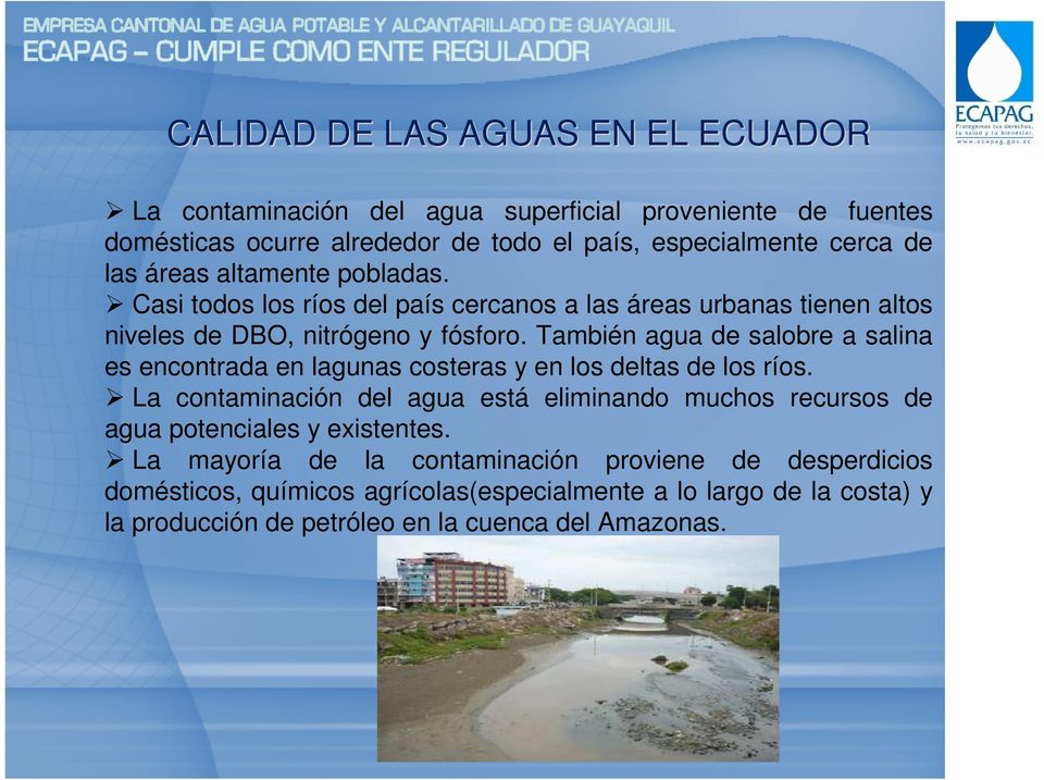 También agua de salobre a salina es encontrada en lagunas costeras y en los deltas de los ríos.