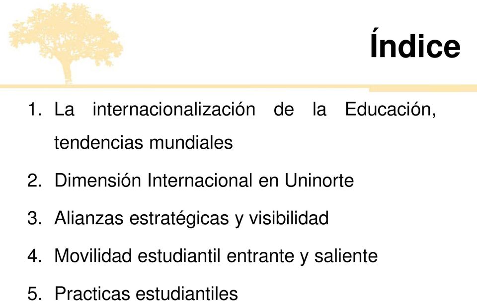 mundiales 2. Dimensión Internacional en Uninorte 3.