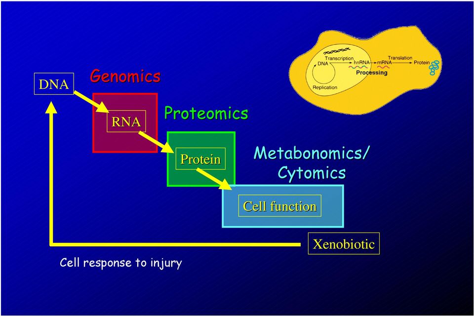 Metabonomics/ Cytomics