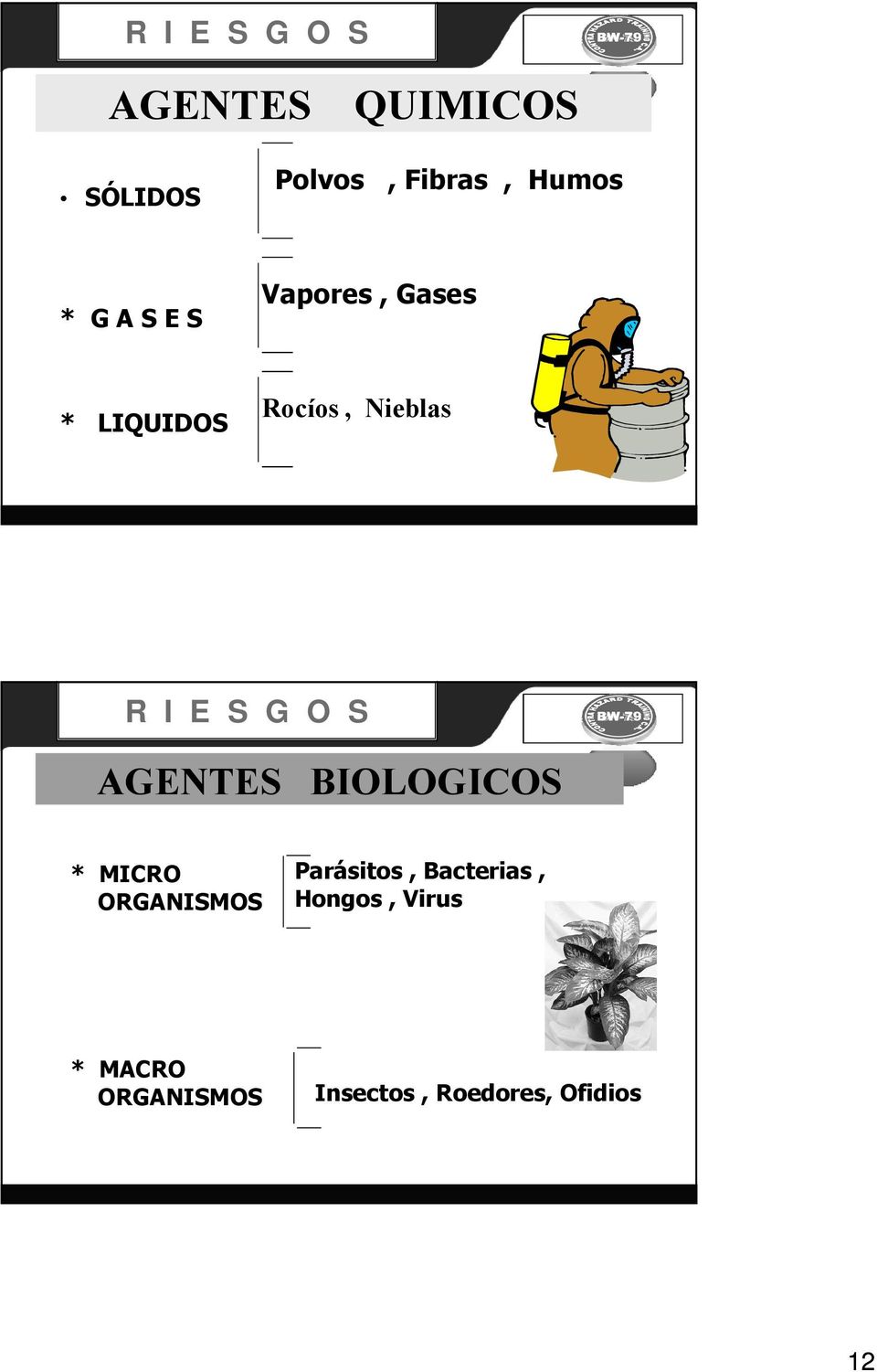 O S AGENTES BIOLOGICOS * MICRO ORGANISMOS Parásitos,
