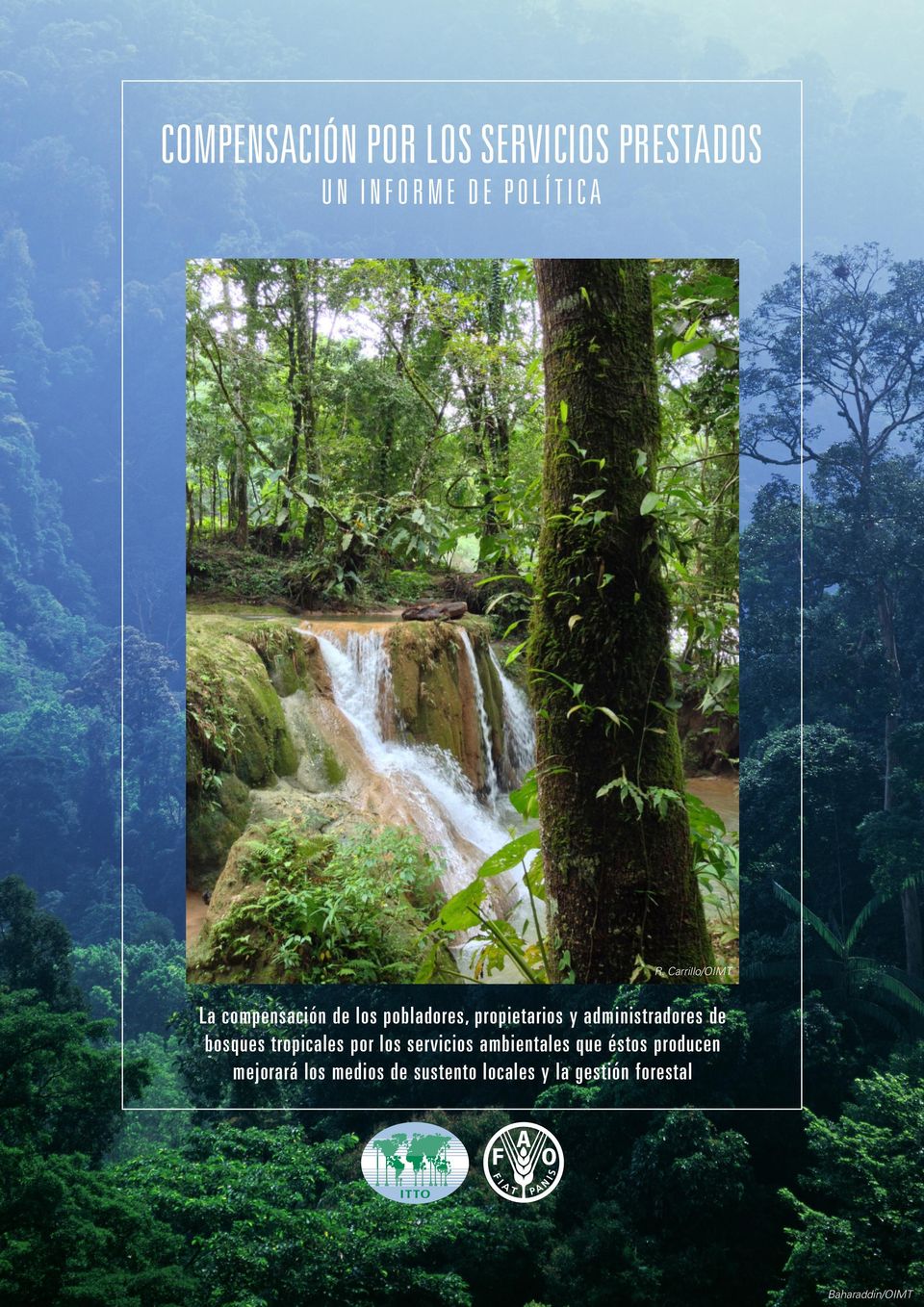 administradores de bosques tropicales por los servicios ambientales que