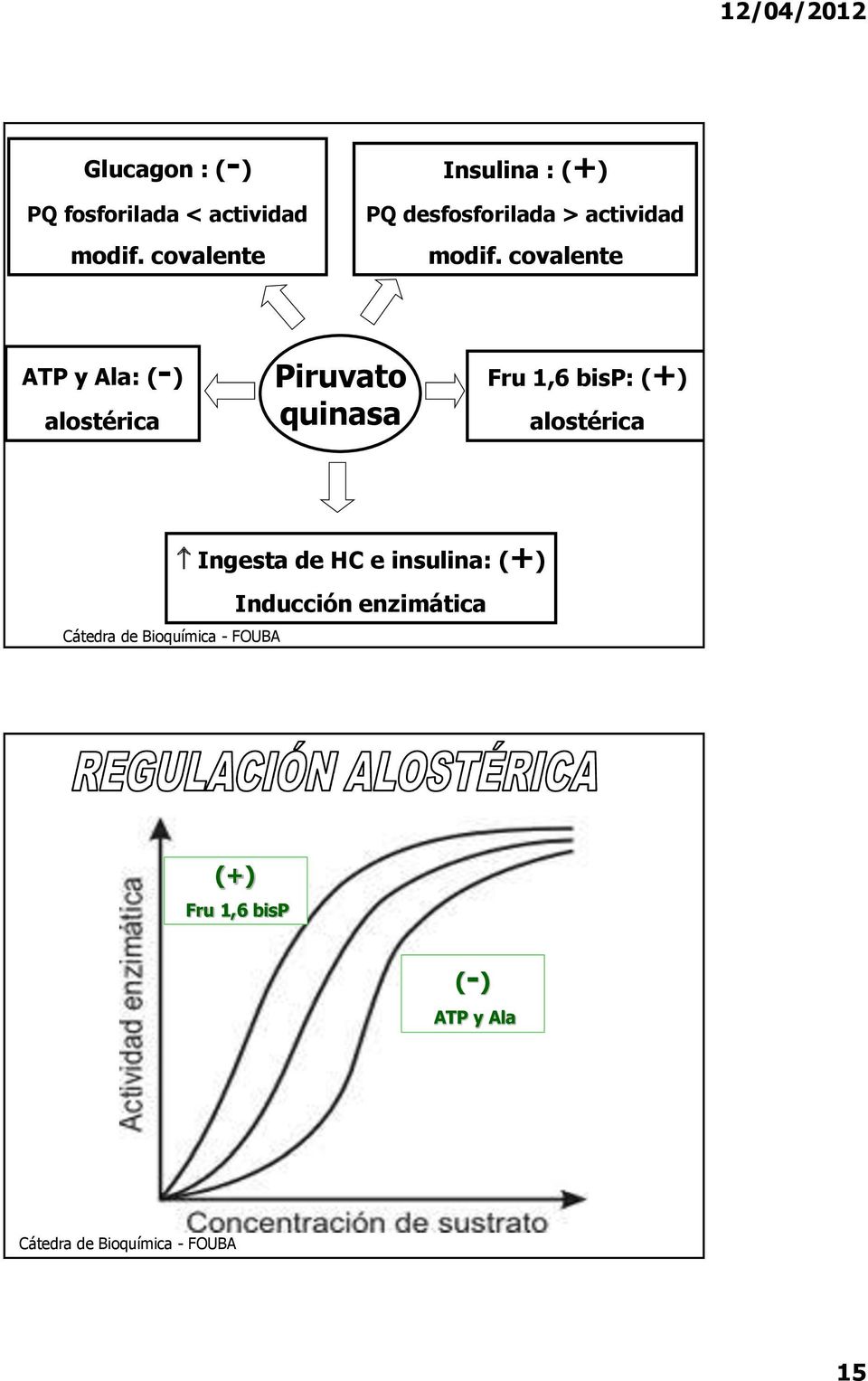 covalente ATP y Ala: (-) alostérica Piruvato quinasa Fru 1,6 bisp: (+) alostérica
