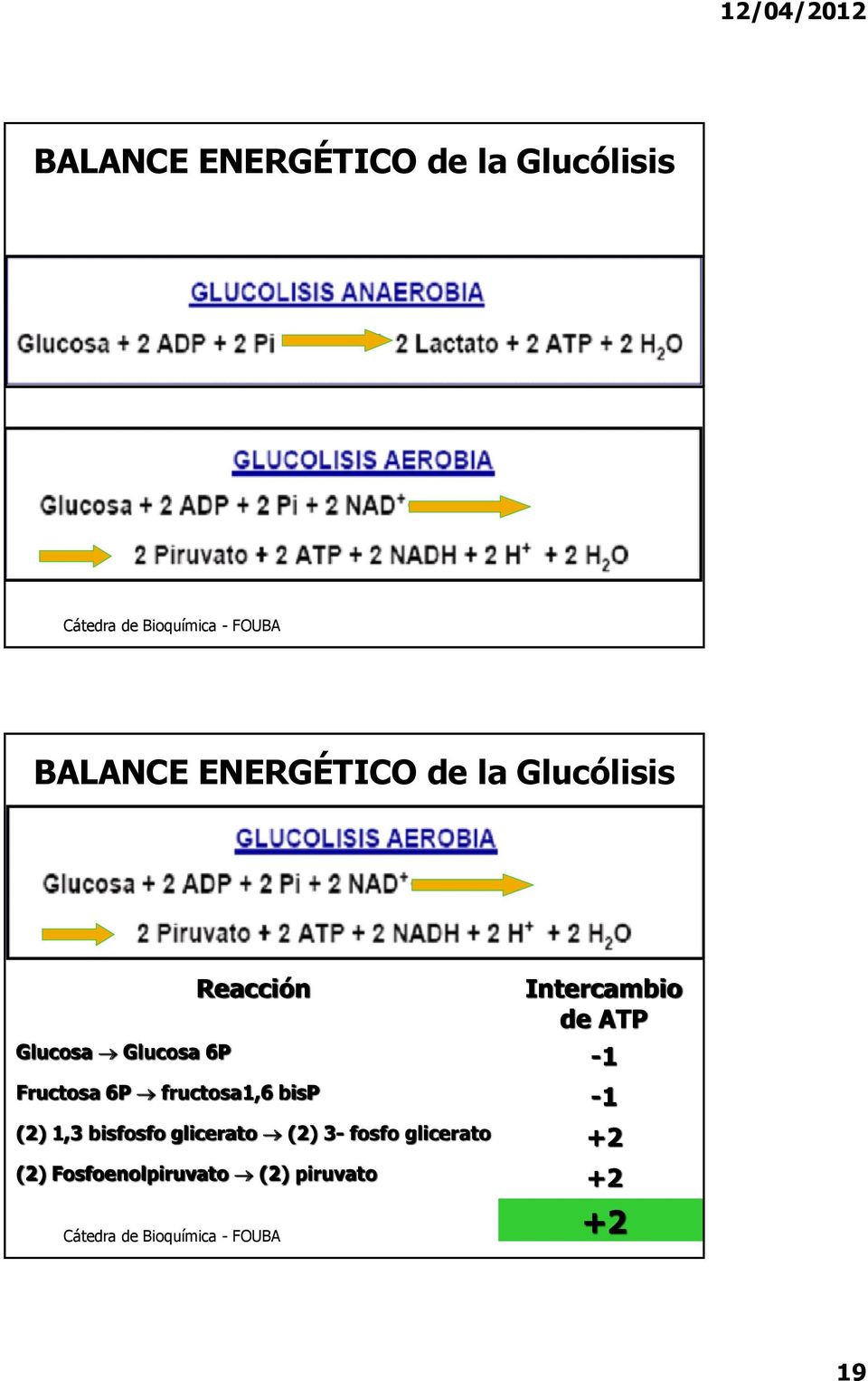Fructosa 6P fructosa1,6 bisp -1 (2) 1,3 bisfosfo glicerato (2)