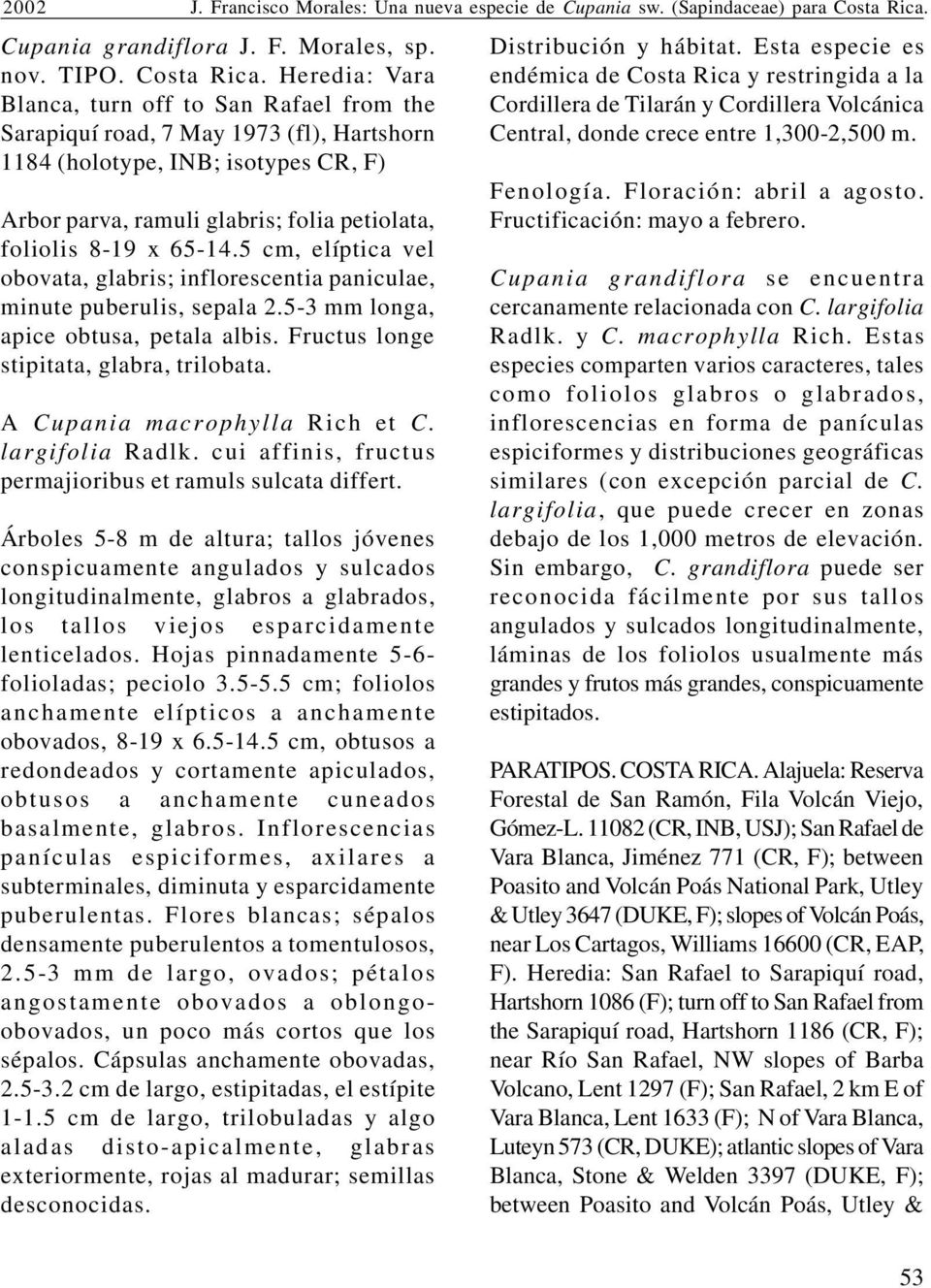 Heredia: Vara Blanca, turn off to San Rafael from the Sarapiquí road, 7 May 1973 (fl), Hartshorn 1184 (holotype, INB; isotypes CR, F) Arbor parva, ramuli glabris; folia petiolata, foliolis 8-19 x