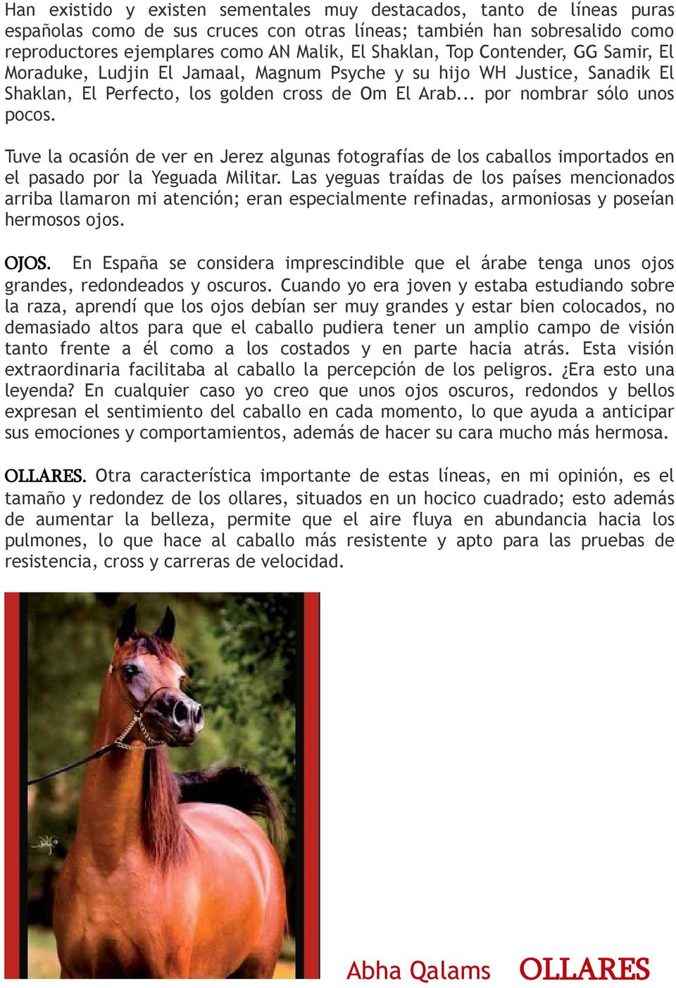 Tuve la ocasión de ver en Jerez algunas fotografías de los caballos importados en el pasado por la Yeguada Militar.