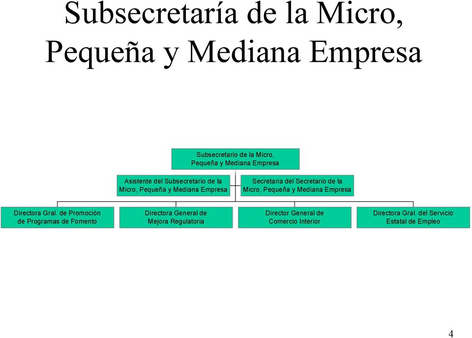 la Micro, Pequeña y Mediana Empresa Directora Gral.