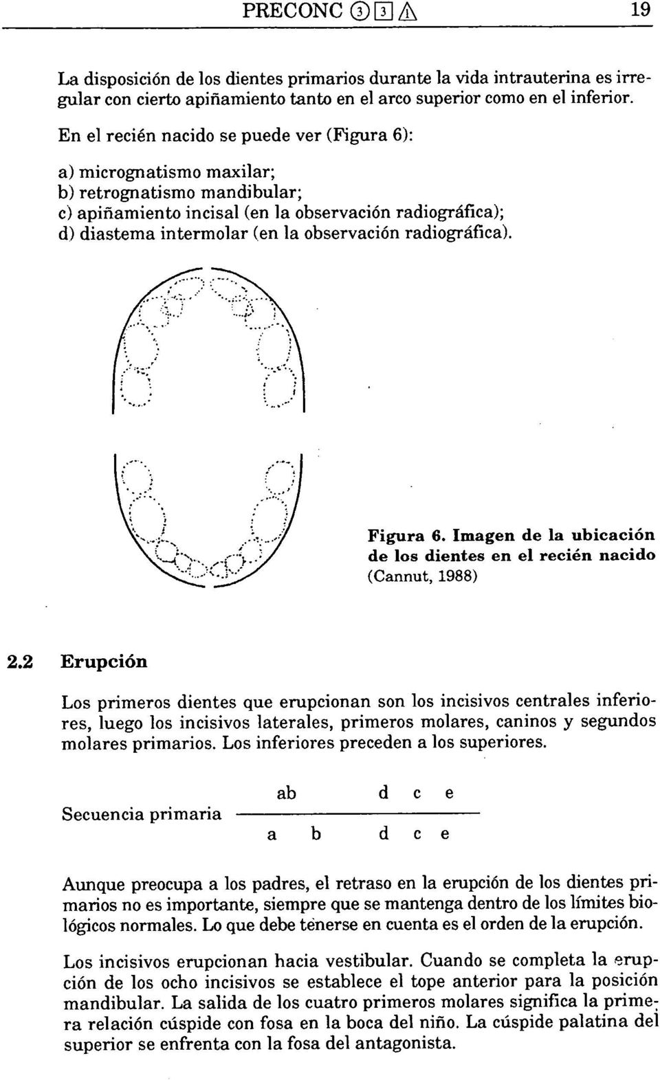 radiográfica). Figura 6. Imagen de la ubicación de los dientes en el recién nacido (Cannut, 1988) 2.