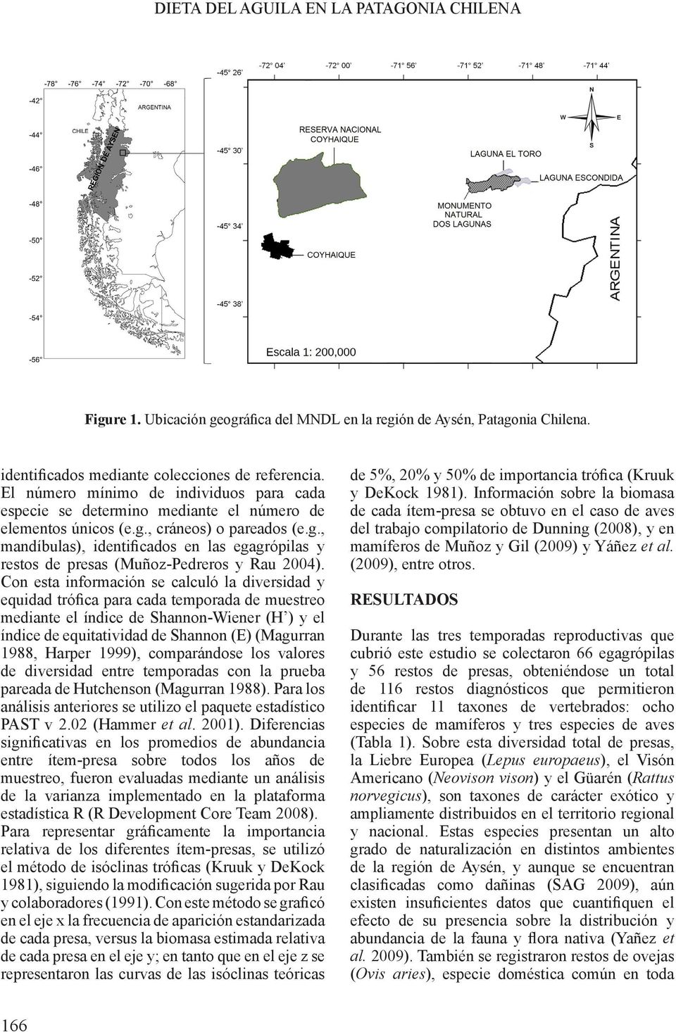 , cráneos) o pareados (e.g., mandíbulas), identificados en las egagrópilas y restos de presas (Muñoz-Pedreros y Rau 2004).