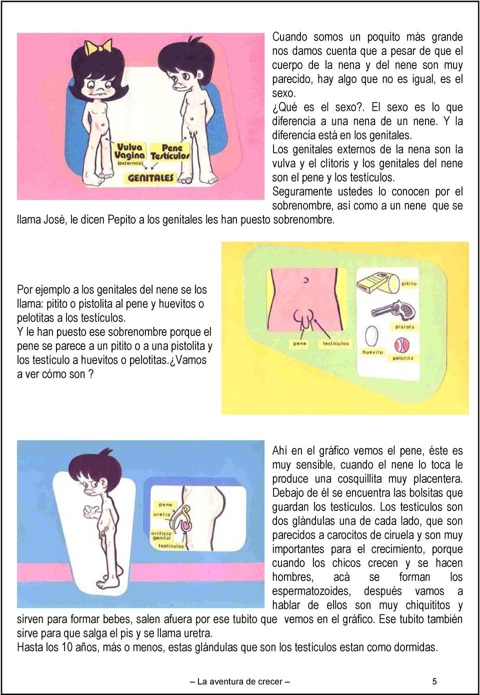 Los genitales externos de la nena son la vulva y el clítoris y los genitales del nene son el pene y los testículos.