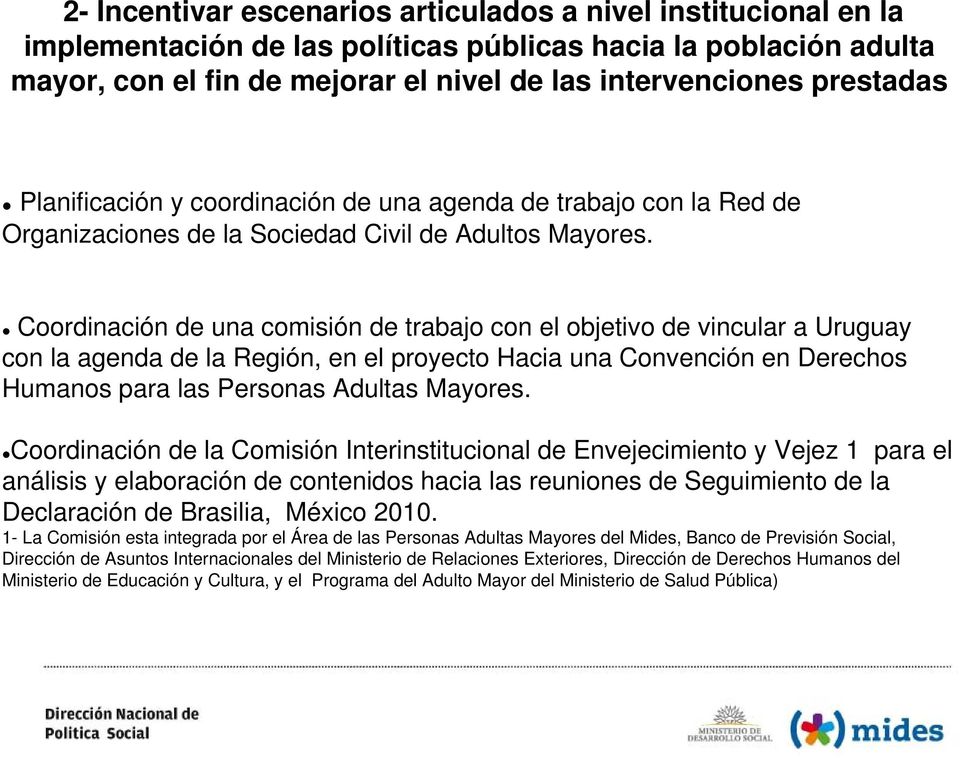 Coordinación de una comisión de trabajo con el objetivo de vincular a Uruguay con la agenda de la Región, en el proyecto Hacia una Convención en Derechos Humanos para las Personas Adultas Mayores.