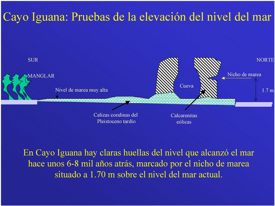 7 m Calizas coralinas del Pleistoceno tardío Calcarenitas eólicas En Cayo Iguana hay