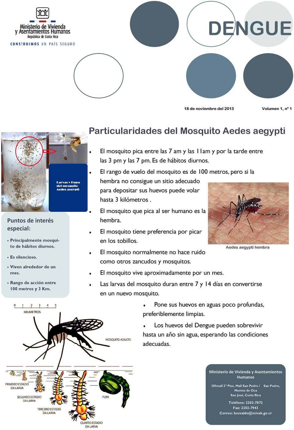 El mosquito que pica al ser humano es la Puntos de interés especial: hembra. El mosquito tiene preferencia por picar Principalmente mosquito de hábitos diurnos. Es silencioso.