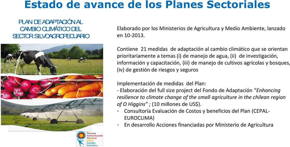 de cultivos agrícolas y bosques, (iv) de gestión de riesgos y seguros Implementación de medidas del Plan: - Elaboración del full size project del Fondo de Adaptación Enhancing