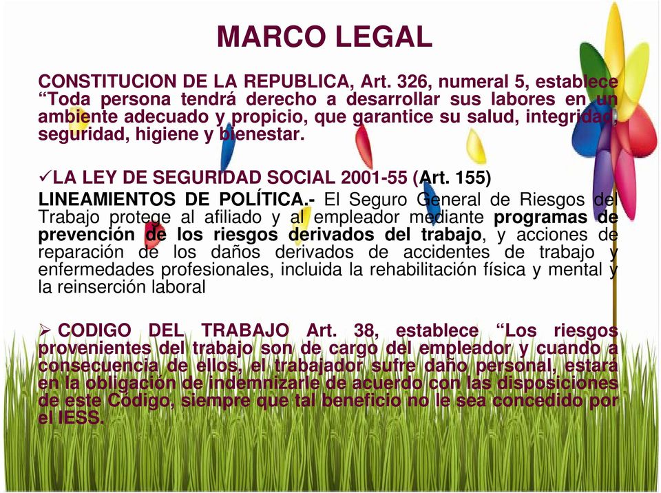 LA LEY DE SEGURIDAD SOCIAL 2001-55 (Art. 155) LINEAMIENTOS DE POLÍTICA.